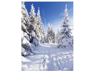 Display-Banner Schnee-Tannen 150 x 200cm, weiss/blau, inkl. Aufhängung