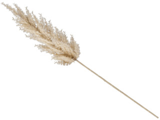 Pampas Gras dick beige 72,5cm, Ø 12cm künstlich