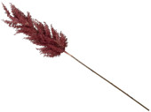 Pampas Gras dick burgund 72,5cm, Ø 12cm...