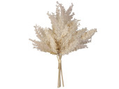 Pampas Gras Bund 4-tlg. beige, L 36,5cm, Ø 25cm...