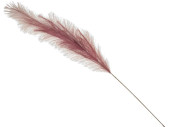 Pampas-Gras-Zweig künstlich, burgund, L 131cm