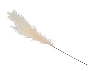 Pampas-Gras-Zweig künstlich, beige, L 96cm