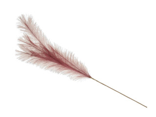 Pampas-Gras-Zweig künstlich, burgund, L 96cm