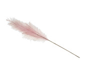 Pampas-Gras-Zweig künstlich, rosa, L 96cm