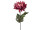 Chrysantheme "Elegance" L 60cm, Ø 18cm, burgund hell