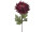 Chrysantheme "Elegance" L 60cm, Ø 18cm, bordeaux dunkel