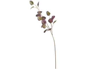 Eucalyptus-Zweig 3-tlg. burgund, L 78cm