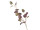 Eucalyptus-Zweig 3-tlg. burgund, L 78cm