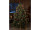 tree ring lights 5 strings warm white, for indoor, var. lengths