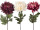 Chrysantheme "Elegance" L 60cm, Ø 18cm, versch. Farben