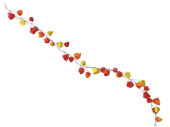 Physalis-Girlande 34 Blüten rot/orange  L 180cm