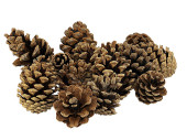 pine cones approx. 4 -7cm, approx. 10 kg, approx. 500 pcs.