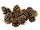 pommes de pin env. 4 -7cm, env. 10 kg, env. 500 pcs.