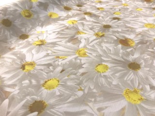 Stoff Margeriten "Claudia" B 150cm schwer entflammbar