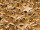 Streusterne gold matt 100g/Box ca.200 St. 2+2.5cm