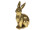 Hase sitzend Magnesia gold 30 x 18 x H 41cm