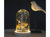 Glashaube auf Holzsockel natur, mit LED, H 16,5cm, Ø 12cm