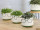 Blumentopf Gesicht/Brille Ø 15cm, H 12,5cm