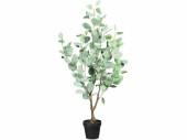 Eucalyptus-Bäumchen H 90cm, grün-grau, getopft