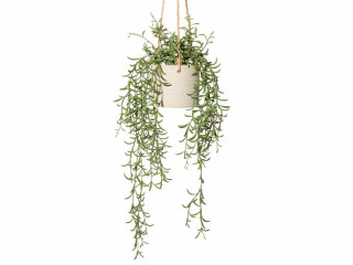 Nerifolia-Hänger ca. L 50cm, grün, Kunststoff, in Topf
