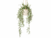 Nerifolia-Hänger ca. L 50cm, grün, Kunststoff,...