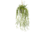 Rhipsalis-Hänger ca. L 60cm grün, Kunststoff,...