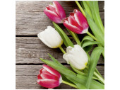 Textilbanner "Tulpen auf Holz" 75 x 75cm,...
