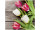 Textilbanner "Tulpen auf Holz" 75 x 75cm, braun-bunt, Schlauchnaht oben+unten