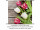 Textilbanner "Tulpen auf Holz" 75 x 75cm, braun-bunt, Schlauchnaht oben+unten