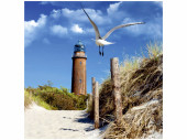 Textilbanner "Leuchtturm/Möwe" 75 x 75cm,...