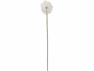 Pusteblume einzeln grün/weiss, L 70 cm, Ø 12 cm