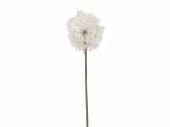 Pusteblume einzeln grün/weiss, L 70 cm, Ø 12 cm