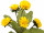 Löwenzahn mit 5 Blüten grün/gelb, H 25 cm, Ø 22 cm, zum Stecken