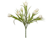 Krokusbusch mit 7 Blüten, H 38cm, Ø 25cm, zum...