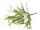 Krokusbusch mit 7 Blüten, H 38cm, Ø 25cm, zum Stecken, weiss