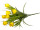 Krokusbusch mit 7 Blüten, H 38cm, Ø 25cm, zum Stecken, gelb