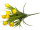 Krokusbusch mit 7 Blüten, H 38cm, Ø 25cm, zum Stecken, gelb