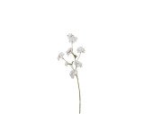 flowering branch "spring" 3 stems, L 80cm, white