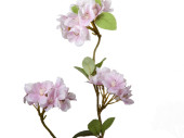 branche fleurie "spring" différentes...