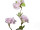 branche fleurie "spring" différentes couleurs et tailles
