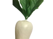 Rettich weiss 45 x 7cm PVC