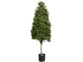 Buchsbaum Kegel grün H 140cm x Ø 55cm,...