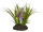 Hyacinthus Robinson lila H 16cm, Ø 20cm, auf Erdplatte