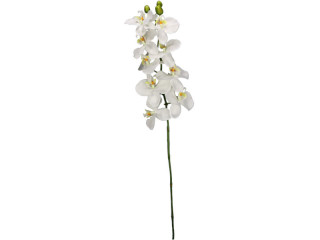 Orchidee Batida weiss L 103cm