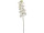 Orchidee Batida weiss L 103cm
