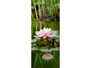 Textilbanner "Seerosen im Teich" grün/rosa, 75x180cm, Schlauchnaht oben+unten