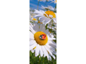 Textilbanner "Margeriten mit Marienkäfer"...