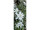 Textilbanner "Edelweiss" grün/weiss, 75x180cm, Schlauchnaht oben+unten