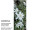 Textilbanner "Edelweiss" grün/weiss, 75x180cm, Schlauchnaht oben+unten