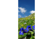 Textilbanner "Enzian/Wiese" grün/blau,...